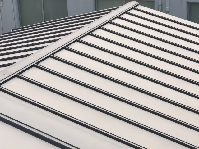 富山市の現地調査で、天井の染み位置から屋根・外壁まで水の経路を確認している様子