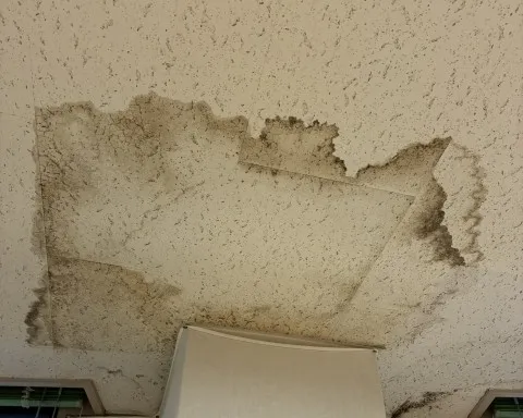 富山市の住宅で、天窓本体だけでなく周囲の板金や屋根材との取り合いまで確認する雨漏り調査のイメージ
